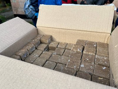 Збільшились випадки захворювання: на Черкащині вакцинують диких тварин від сказу Збільшились випадки захворювання: на Черкащині вакцинують диких тварин від сказу
