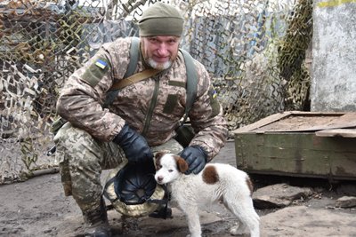 Воюють разом з нами: воїни 30 бригади з Житомирщини показали своїх фронтових тварин Воюють разом з нами: воїни 30 бригади з Житомирщини показали своїх фронтових тварин