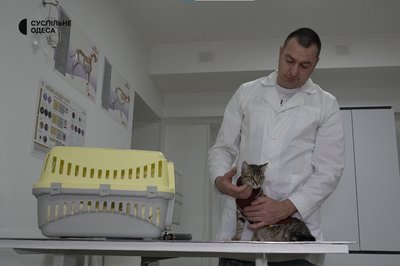 "Довелося виїхати": ветеринар з Добропілля переїхав до Південного та відкрив свою ветеринарну клініку "Довелося виїхати": ветеринар з Добропілля переїхав до Південного та відкрив свою ветеринарну клініку