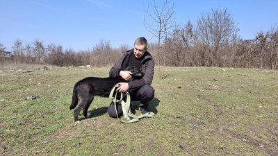 "Кожен заслуговує на любов": у Черкасах щовихідних усі охочі вигулюють тварин в притулку "Кожен заслуговує на любов": у Черкасах щовихідних усі охочі вигулюють тварин в притулку