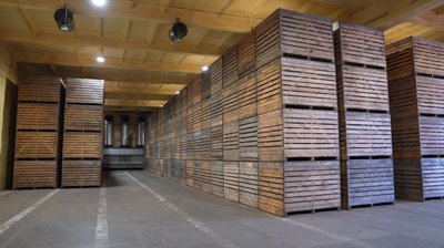 "Наче врожай, а ціни такі ж": яка вартість картоплі на черкаському ринку