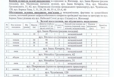 В Житомирі на одній з вулиць під час ремонту тротуару зріжуть 12 дерев В Житомирі на одній з вулиць під час ремонту тротуару зріжуть 12 дерев