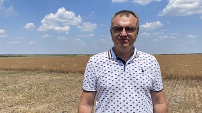 Збільшення нішевих культур: як на Миколаївщині вирощують коріандр Збільшення нішевих культур: як на Миколаївщині вирощують коріандр