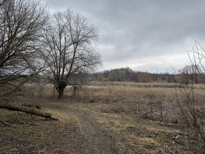 Сморід і піна: у Полтаві знову досліджують стан ставків