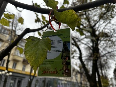 Як посадити іменне дерево у Полтаві: подробиці акції "Подаруй місту дерево" Як посадити іменне дерево у Полтаві: подробиці акції "Подаруй місту дерево"