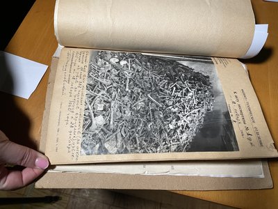 Херсонщина, Голокост, архів, ексгумація Херсонщина, Голокост, архів, ексгумація