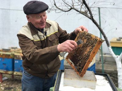 пасічник, бджоли, бджоляр