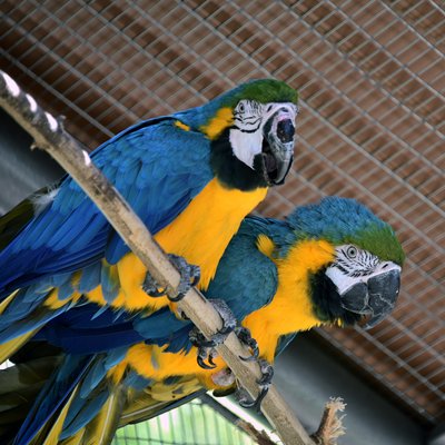 У Києві У Києві
