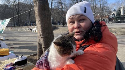 Очікували на господарів: у Миколаєві прилаштовували чотирилапих