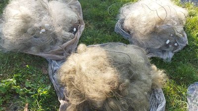 На Вінниччині браконьєр незаконно виловив риби на 70 тисяч гривень На Вінниччині браконьєр незаконно виловив риби на 70 тисяч гривень