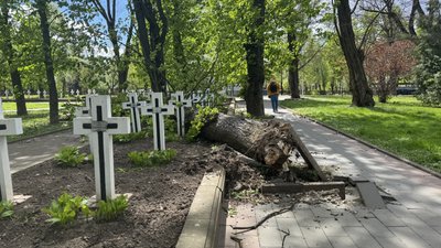Вітер, негода, буревій, могили Січових стрільців, Меморіальний сквер, Франківськ Вітер, негода, буревій, могили Січових стрільців, Меморіальний сквер, Франківськ