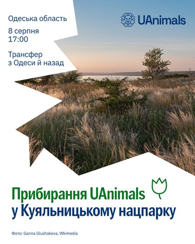 Куди_піти_8-9.08 Куди_піти_8-9.08
