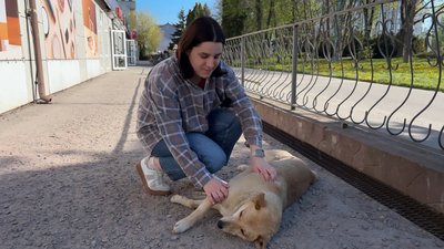 Собака Пашка добре йде на контакт з людьми, травень 2026 року, Хмельниччина Собака Пашка добре йде на контакт з людьми, травень 2026 року, Хмельниччина