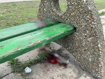 Знищено ТЦ, побито десятки будинків та авто: на Синельниківщині внаслідок атаки РФ є жертви Знищено ТЦ, побито десятки будинків та авто: на Синельниківщині внаслідок атаки РФ є жертви