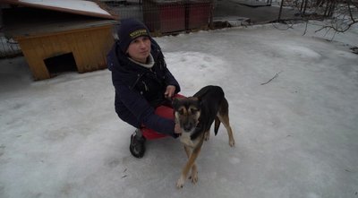 "Майже всі вольєри зламані": у кропивницькому притулку "БІМ" оголосили триденну толоку "Майже всі вольєри зламані": у кропивницькому притулку "БІМ" оголосили триденну толоку