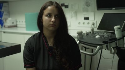 Вода, панамки та ранкові прогулянки: як дбають про тварин у спеку у Рівному Вода, панамки та ранкові прогулянки: як дбають про тварин у спеку у Рівному