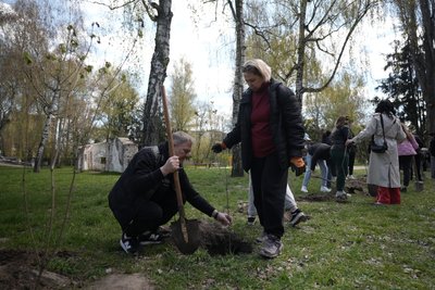 Сумські медики висадили бузок у парку Кожедуба у пам'ять про загиблих на війні Сумські медики висадили бузок у парку Кожедуба у пам'ять про загиблих на війні