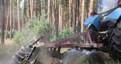 У лісах Хмельниччини створили 3160 км протипожежних бар’єрів У лісах Хмельниччини створили 3160 км протипожежних бар’єрів