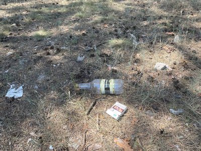 Відпочинок у лісах Орлівщини на Дніпропетровщині: що можна там побачити та як дістатися Відпочинок у лісах Орлівщини на Дніпропетровщині: що можна там побачити та як дістатися
