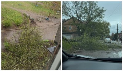 Буревій у Кропивницькому: дерева падають на дороги та будинки Буревій у Кропивницькому: дерева падають на дороги та будинки