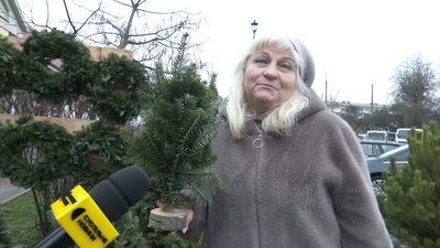 Ялинкові ярмарки у Житомирі: ціни на ялинки та що обирають містяни цього року Ялинкові ярмарки у Житомирі: ціни на ялинки та що обирають містяни цього року