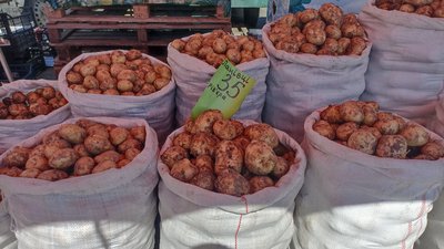 Тернопільський ринок, молода картопля, скільки вартує молода картопля