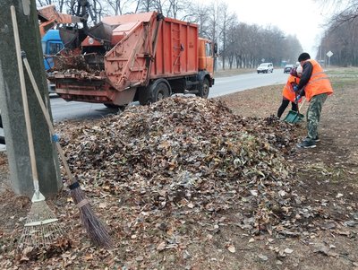У Полтаві не вистачає майже 200 двірників: яка причина У Полтаві не вистачає майже 200 двірників: яка причина