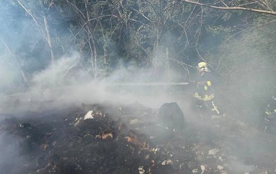 На Черкащині за добу вісім разів горів сухостій та сміття На Черкащині за добу вісім разів горів сухостій та сміття