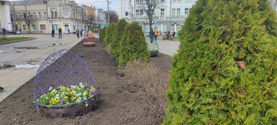 Центр Житомира прикрашають декоративними великодніми кошиками з живими квітами Центр Житомира прикрашають декоративними великодніми кошиками з живими квітами