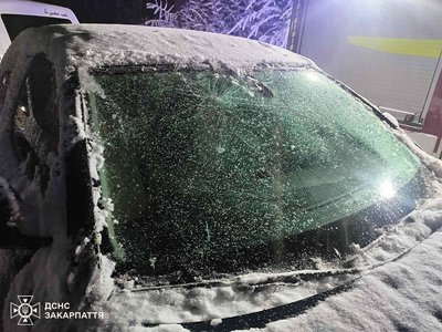 Машини під поваленими деревами: наслідки негоди на Закарпатті Машини під поваленими деревами: наслідки негоди на Закарпатті