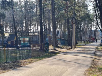 Укуси кліщів: як уникнути небезпечних захворювань та що робити при виявленні кліща, розповіли житомирські медики