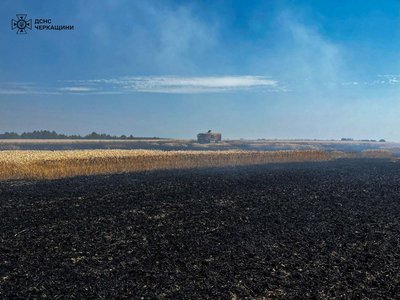 На Черкащині згоріло сім гектарів пшениці На Черкащині згоріло сім гектарів пшениці