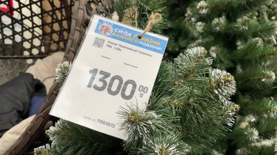 Новорічні ялинки. Де продають у Дніпрі та які ціни Новорічні ялинки. Де продають у Дніпрі та які ціни