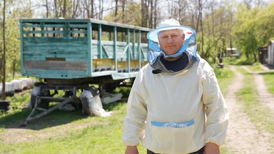 "Їм немає що взяти в природі": як на Кіровоградщині холодна весна вплинула на бджіл і медозбір "Їм немає що взяти в природі": як на Кіровоградщині холодна весна вплинула на бджіл і медозбір