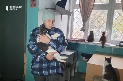 Півсотні змерзлих котиків: як в Одесі без опалення та електрики виживає притулок для тварин Півсотні змерзлих котиків: як в Одесі без опалення та електрики виживає притулок для тварин