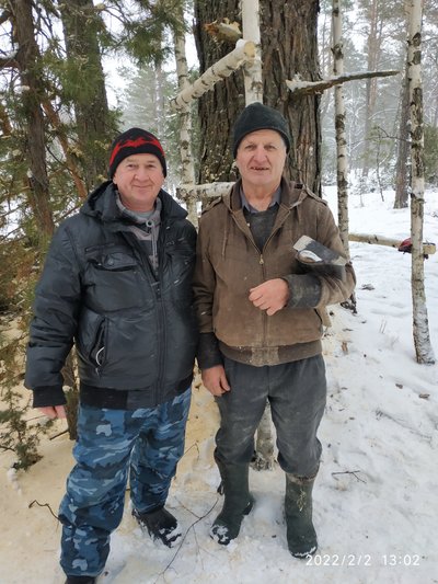 У дровах для школи знайшли борть із трьома кілограмами меду диких бджіл: історія з Олевська У дровах для школи знайшли борть із трьома кілограмами меду диких бджіл: історія з Олевська