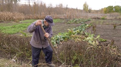Не могла знайти у магазинах: чи є дефіцит хрону на Черкащині Не могла знайти у магазинах: чи є дефіцит хрону на Черкащині