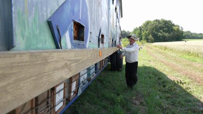 "До бджоли з добром – віддасть вдвічі": хмельницький пасічник 15 років веде кочовий спосіб життя "До бджоли з добром – віддасть вдвічі": хмельницький пасічник 15 років веде кочовий спосіб життя