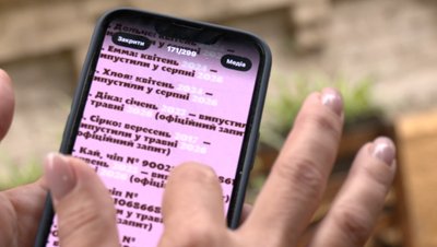Черкаські волонтери заявили, що собак з притулку випустили в місто: що кажуть комунальники Черкаські волонтери заявили, що собак з притулку випустили в місто: що кажуть комунальники