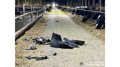 Війська РФ атакували безпілотниками ферму на Чернігівщині, загинули 11 корів