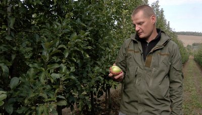 На радість закоханим: фермерське господарство з Черкащини вирощує яблука у формі серця На радість закоханим: фермерське господарство з Черкащини вирощує яблука у формі серця