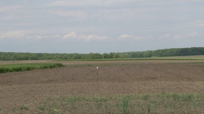 Чию землю віддадуть громаді: що зробити, аби у 2028 році у вас не забрали пай Чию землю віддадуть громаді: що зробити, аби у 2028 році у вас не забрали пай