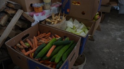 "Він любить, коли йому чухають шийку": австралійського ему з Курщини прихистили в Сумах "Він любить, коли йому чухають шийку": австралійського ему з Курщини прихистили в Сумах