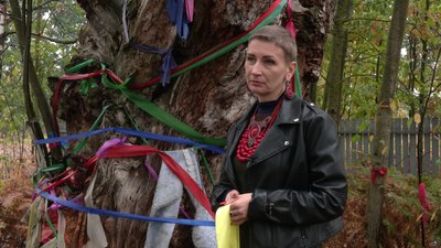 У селі на Рівненщині обв'язують стовбур Цар-дерева кольоровими стрічками. Що означає ця традиція