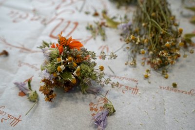 Любов Попова, трави, чай, козіївка Любов Попова, трави, чай, козіївка