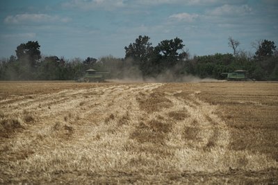 Жнива на Харківщині, липень 2026 року Жнива на Харківщині, липень 2026 року
