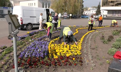 28 мільйонів на озеленення: як висаджують квіти у Луцьку і чому площа клумб зменшилася 28 мільйонів на озеленення: як висаджують квіти у Луцьку і чому площа клумб зменшилася
