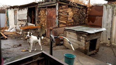життя люди прифронтове село Новоселівка Лиманська громада Донецька область 4 листопада 2024 рік життя люди прифронтове село Новоселівка Лиманська громада Донецька область 4 листопада 2024 рік