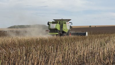 Врожайність очікують вищу, ніж торік: на Кіровоградщині розпочали збирати соняшник