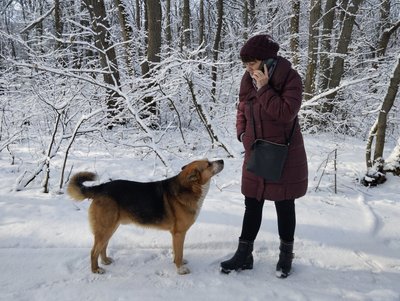"Господар цього лісу": історія пса, який кілька років мешкає у дендропарку Полтави "Господар цього лісу": історія пса, який кілька років мешкає у дендропарку Полтави